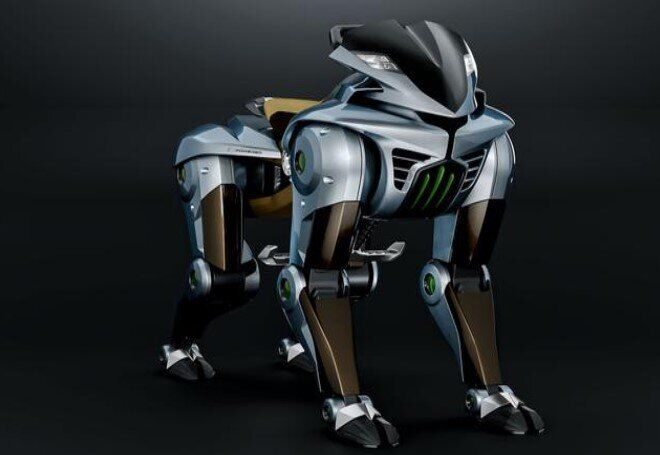 رفتار حیوانات کلید ساخت رباتها شد رفتار حیوانات کلید ساخت رباتها شد