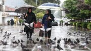 باران و هوای خنک در شمال + فیلم