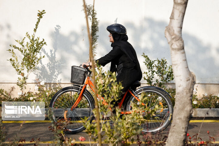 زنان برای ورزش کجا بروند؟ زنان برای ورزش کجا بروند؟