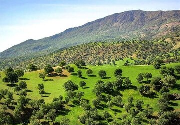 ریه‌های تنفسی غرب ایران از نفس افتاد