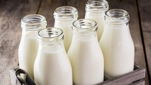 نرخ شیر بوی زیان میدهد نرخ شیر بوی زیان میدهد