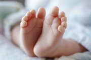 ثبت حدود ۹۸۰ هزار واقعه ولادت در سال ۱۴۰۳