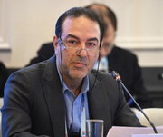 ثبت ۳۲۰۰۰ ازدواج بالای ۵۰ سال در ۱۴۰۳