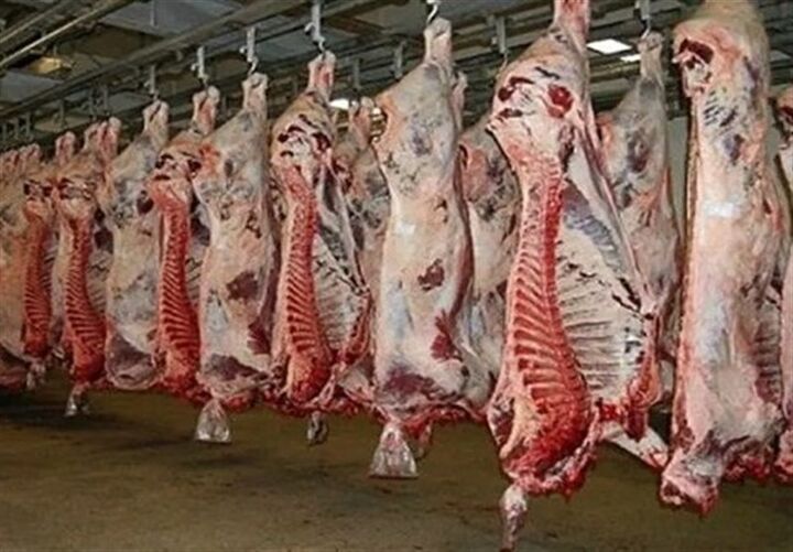 گوشت‌های آلوده در حاشیه شهر
