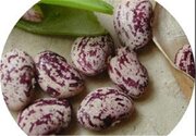 حباب ۳۰۰ هزار تومانی حبوبات در بازار یله