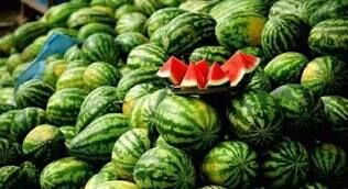 رد ادعاها درباره هندوانه صادراتی ایران به روسیه رد ادعاها درباره هندوانه صادراتی ایران به روسیه