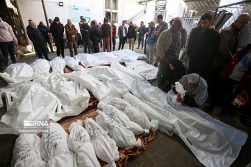 فیلم/ فلسطینی‌ها سلاخی شدند