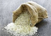 واردات برنج معروف دانه بلند هندی ممنوع شد
