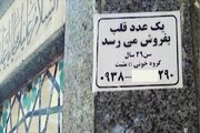 «قلب» فروشی نداریم