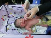 ۷۷ درصد زوجین تمایلی به فرزندآوری ندارند