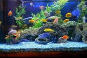 گنجینه‌ای پنهان در دل محلات