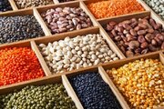 حبوبات هم کالای لوکس شد