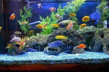 گنجینه‌ای پنهان در دل محلات
