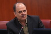 رد توله خرس گمشده را زده‌اند