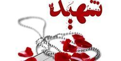 شهادت مرزبان هرمزگانی در خلیج فارس