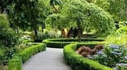 کاهش نگران‌کننده فضای سبز شهری