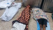 ۵۰ فلسطینی دیگر شهید شدند