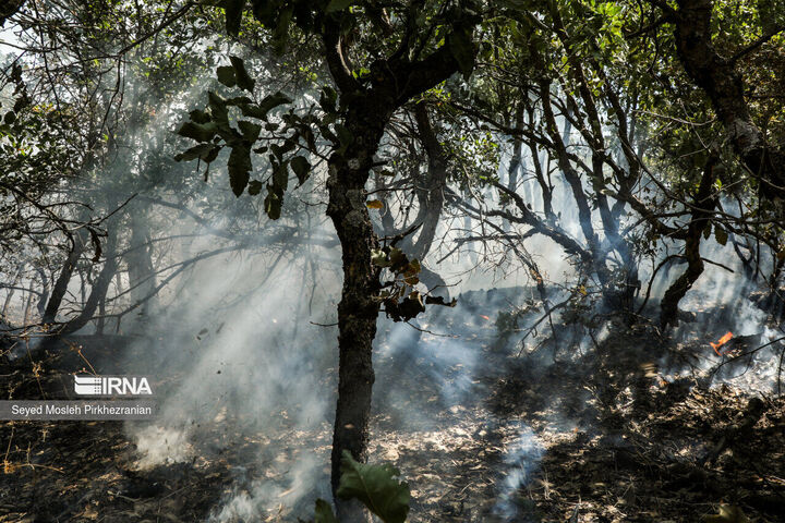 آتشسوزی در جنگل گلستان مهار شد آتشسوزی در جنگل گلستان مهار شد