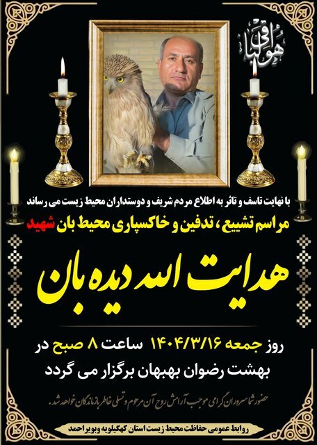 آخرین اخبار از شهادت یک محیط بان