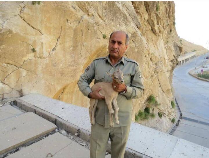 دومین قاتل شهید دیدهبان دستگیر شد دومین قاتل شهید دیدهبان دستگیر شد