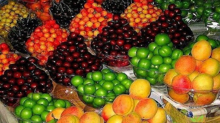 علت گرانی میوه‌های نوبرانه چیست؟