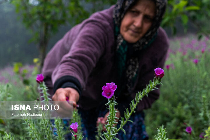 63478408_Hadipour-9650.jpg