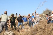 شهرک‌نشینان صهیونیست جنوب نابلس را به آتش کشیدند