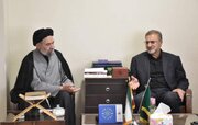 جنگ ۱۲ روزه با رژیم صهیونستی تکرار ایثار و مقاومت ایران و تداعی‌بخش دوران دفاع مقدس بود