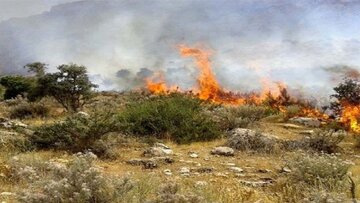 مهار آتش‌سوزی جنگل ابر شاهرود