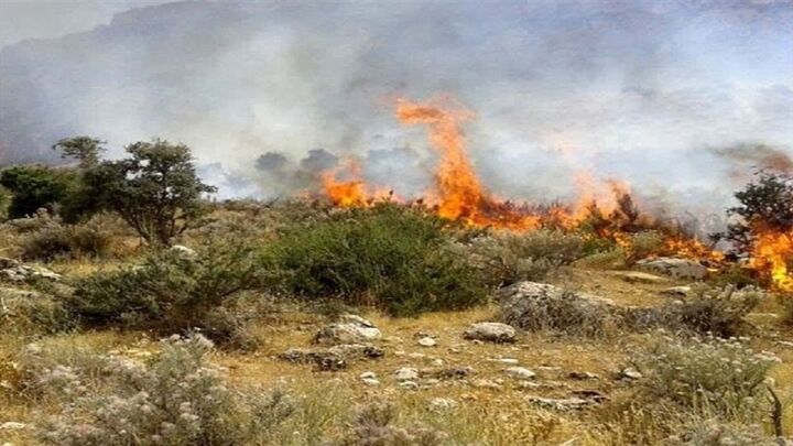 مهار آتش‌سوزی جنگل ابر شاهرود