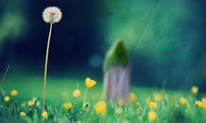 ارائه روایتی صادق از وقایع منطقه ارائه روایتی صادق از وقایع منطقه