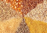 تداوم تخصیص ارز ۲۸۵۰۰تومانی برای برخی کالاهای اساسی