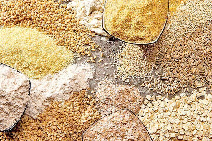 ماجرای کمبود و گرانی نهاده‌های دامی در بازار چیست؟