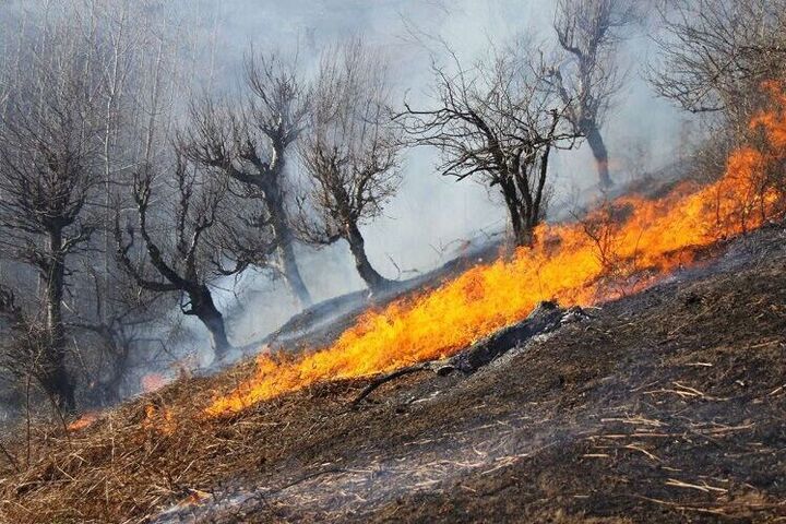 وقوع آتش‌سوزی در سفیدکوه خرم‌آباد