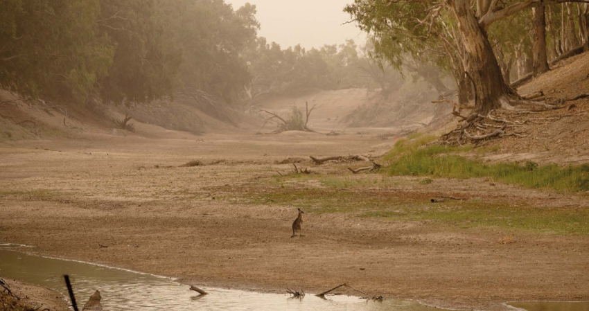 4 میلیارد نفر گرفتار کمآبی/ جهان در بحران آب غرق میشود؟!