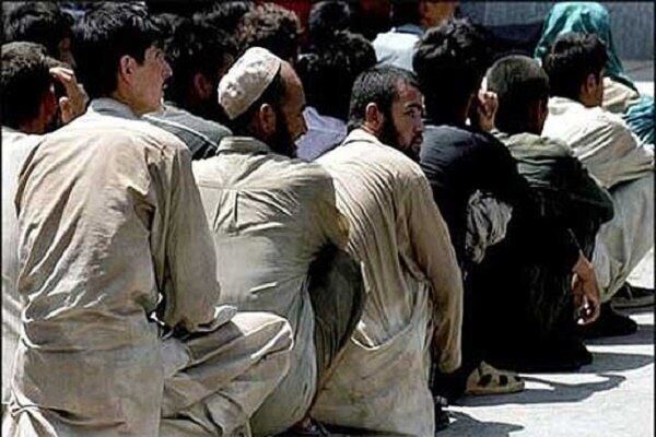 جمع آوری ۲۰۱ نفر اتباع بیگانه غیرمجاز در هیرمند