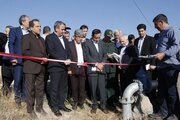 تبدیل ۳۵۳۰ هکتار از ارضی دیم نیر به آبی