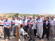 میدان عرضه دام در بانه افتتاح شد