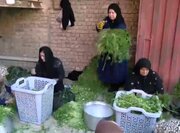 بانویی که مزرعه را کارخانه کرد