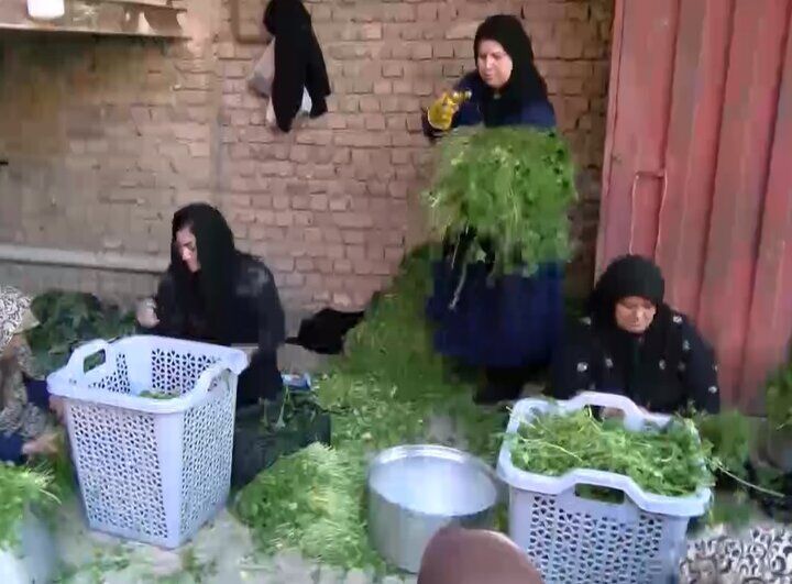 بانویی که مزرعه را کارخانه کرد بانویی که مزرعه را کارخانه کرد