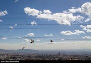 هواشناسی ایران ۱۴۰۴/۶/۹