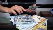 دولت باید سیاست صرفه‌جویی ارزی را در پیش بگیرد