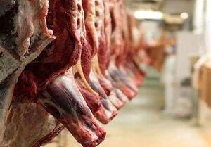 توزیع روزانه ۲۰۰ تن گوشت‌ وارداتی در بازار