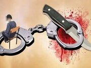 قاتل فراری بانوی زرندیه‌ای در تهران دستگیر شد