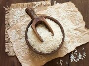 استقبال بازار آسیا از برنج ارزان‌تر