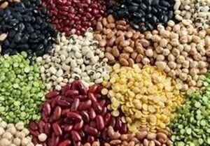 چرا تورم حبوبات از ۶۰درصد عبور کرد؟