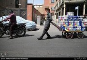 قیمت‌های نجومی کاغذ زیر سایه نظارت صفر