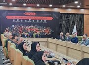 خدمات بنیاد شهید به ۲۳۰ هزار جانباز اعصاب و روان با ۱۰ مرکز تخصصی و ۱۹۵ کلینیک