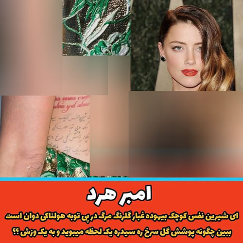 «فارسی» دوباره جهانی میشود/ موج تازه توجه به زبان فارسی؛ از دانشگاهها تا هالیوود