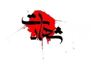 شهادت نیروی مدافع امنیت در جاده بمپور-دلگان